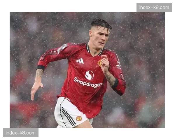 英超夏季转会新援迎来第二春,塞斯科替补高效引关注 英超夏季转会新援迎来第二春,塞斯科替补高效引关注