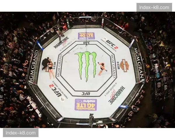 背景回顾：追溯1993年首届UFC赛事，审视综合格斗运动三十余年的规则演变